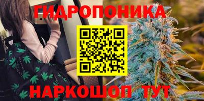 шишки Кинель