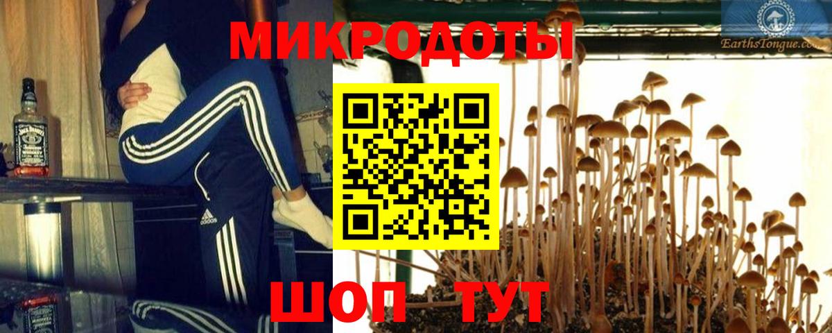 Галлюциногенные грибы мухоморы Находка